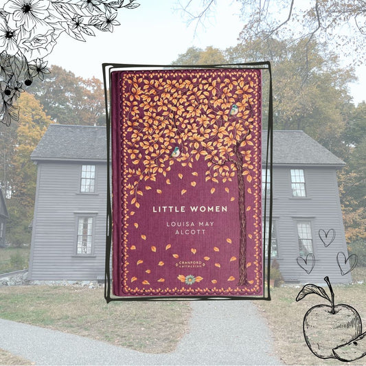 Adult Subscription Book Box